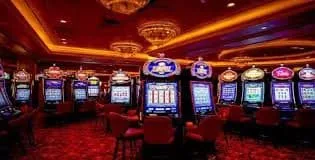 pkr335 Live Tables, Slots and Sports in One Place